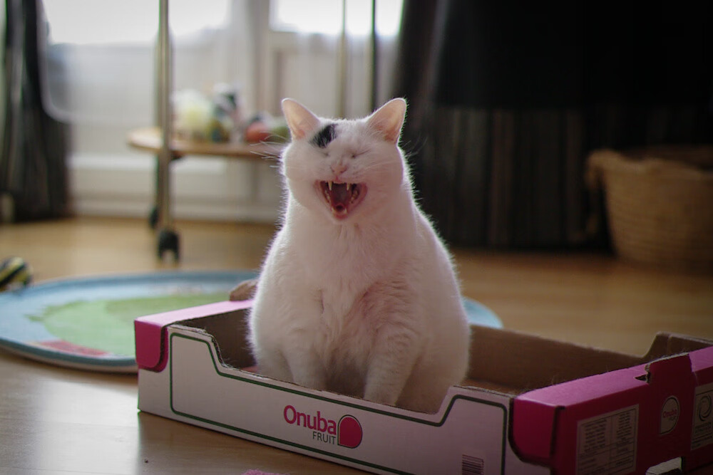 朱婷鼓励新人突破瓶颈不断挑战自我,朱婷的绝招